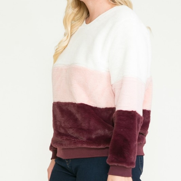 Neapolitan Teddy Sweatshirt - Picture 4 of 5